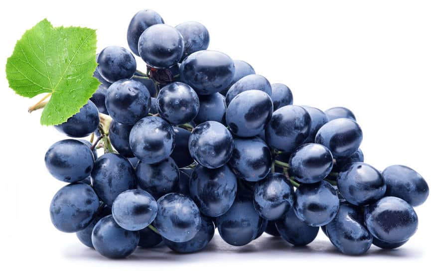 Zbliżenie na kiść ciemnych winogron deserowych i świeże, zielone liście mięty, symbolizujące składniki smaku Grape Mint.